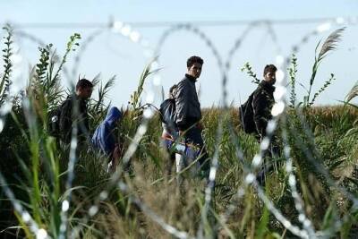 Мигранты предприняли попытку прорваться в Польшу через границу с Белоруссией