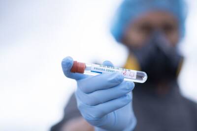 Число заболевших коронавирусом в Ленобласти составило 2733 за сутки