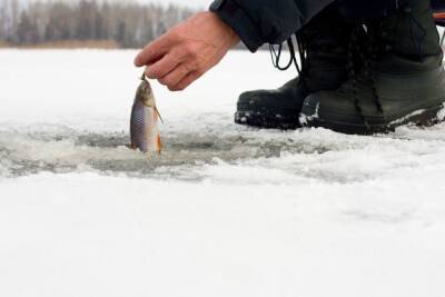Шестерых рыбаков поймали за незаконные выезды на лед в Новгородской области