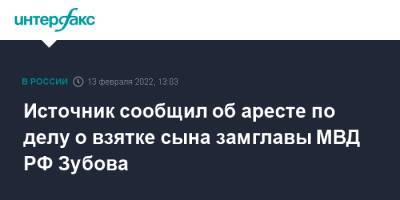 Источник сообщил об аресте по делу о взятке сына замглавы МВД РФ Зубова