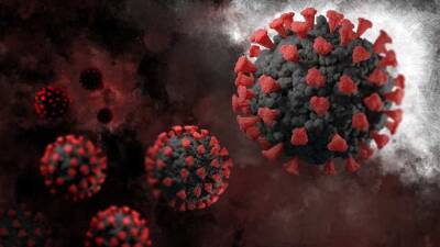 Педиатр Малых рассказал о возникновении нового признака заражения коронавирусом у детей