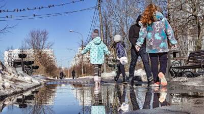 Теплая погода установится на неделю в столичном регионе