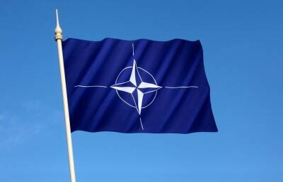 Мирча Джоанэ - В Румынии разместят постоянную боевую группировку НАТО - ont.by - Белоруссия - Франция - Румыния - Польша