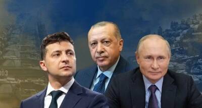 Анкара предложила организовать переговоры Путина и Зеленского