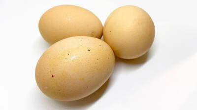 Завтрак аристократа за пять минут: рецепт яиц «Орсини»