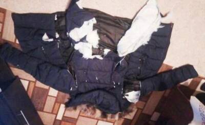 Стая бродячих собак покусала 13-летнюю девочку, разорвав в клочья верхнюю одежду