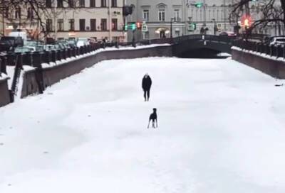 В Петербурге любители прогулок вышли на лед, несмотря на оттепель