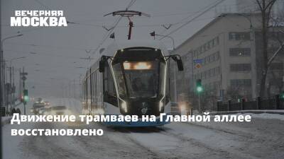Движение трамваев на Главной аллее восстановлено - vm.ru