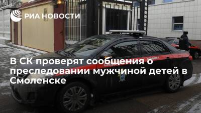 В СК проверят сообщения из соцсетей о преследовании мужчиной детей в Смоленске