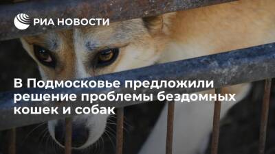 Эксперт Бибикова заявила о необходимости стерилизации и чипирования домашних животных