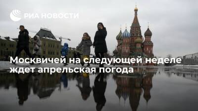 Синоптик Тишковец: в Москве 18 февраля будет до пяти градусов тепла, как в начале апреля