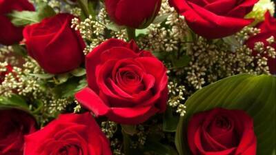 Роза иль мимоза: что расскажут о женщине ее любимые цветы