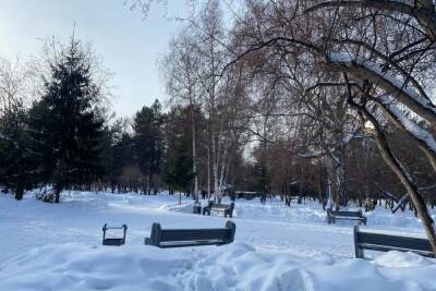 Порывы ветра и потепление ожидаются в Томской области 14 февраля