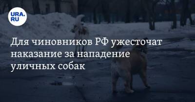 Для чиновников РФ ужесточат наказание за нападение уличных собак