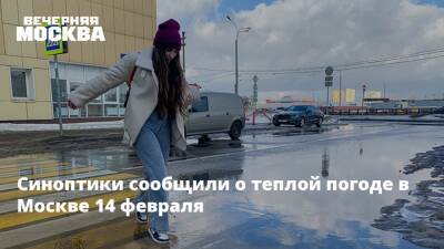 Синоптики сообщили о теплой погоде в Москве 14 февраля