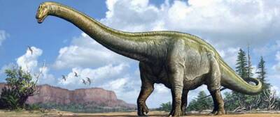 В останках динозавра юрского периода обнаружены следы респираторной инфекции