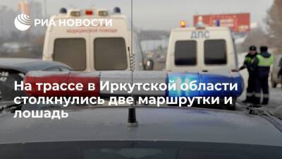 На трассе в Иркутской области столкнулись две маршрутки и лошадь, пять человек пострадали