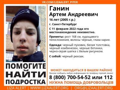 В Петербурге без вести пропал 16-летний подросток