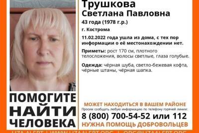 Отряд «Лиза Алерт» разыскивает пропавшую в Костроме 43-летнюю блондинку