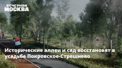 Исторические аллеи и сад восстановят в усадьбе Покровское-Стрешнево