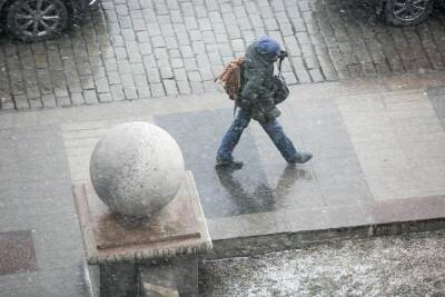 В Санкт-Петербурге идут аномальное тепло и снег с дождем