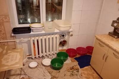 Жительница Воронежа пожаловалась на потоп в квартире после уборки снега с крыши многоквартирного дома