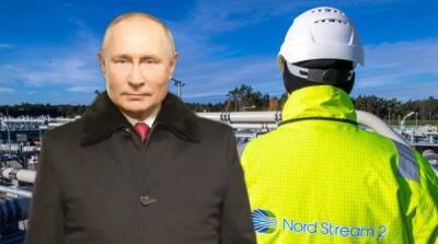 В Германии задумали скрыть от Путина остановку “Северного потока – 2”