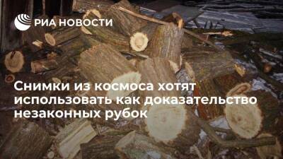 Вице-премьер Абрамченко: снимки из космоса могут стать доказательством незаконных рубок
