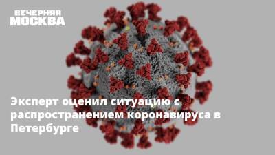 Эксперт оценил ситуацию с распространением коронавируса в Петербурге