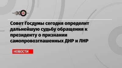 Совет Госдумы сегодня определит дальнейшую судьбу обращения к президенту о признании самопровозглашенных ДНР и ЛНР