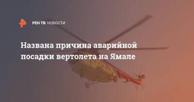 Названа причина аварийной посадки вертолета на Ямале