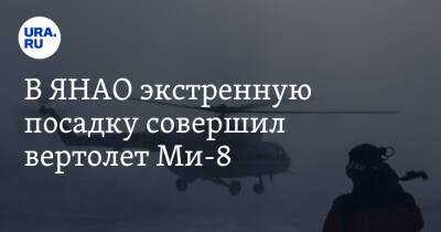 В ЯНАО экстренную посадку совершил вертолет Ми-8