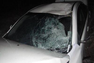 В Псковской области молодой водитель иномарки насмерть сбил пешехода