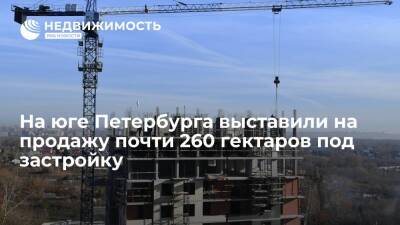 На юге Петербурга выставили на продажу почти 260 гектаров под застройку