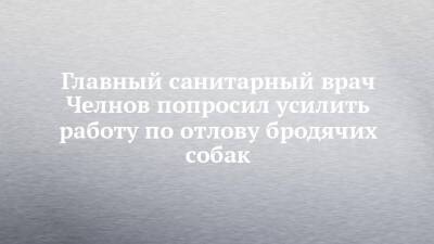 Главный санитарный врач Челнов попросил усилить работу по отлову бродячих собак