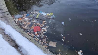 Воронежцев предупредили об опасных бактериях из-за заваленного мусором озера на «Динамо»