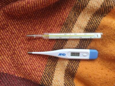 В Башкирии эпидпорог по ОРВИ и гриппу превышен в 4,5 раза