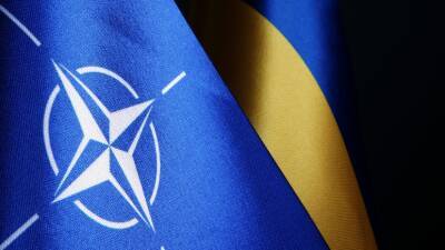 Пресс-секретарь Зеленского: стремление Украины в НАТО закреплено в Конституции