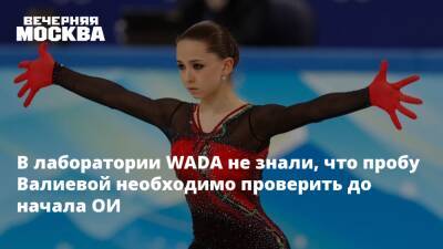 Камила Валиева - Марк Адамс - В лаборатории WADA не знали, что пробу Валиевой необходимо проверить до начала ОИ - vm.ru - Москва - Россия - Китай - Пекин - Стокгольм