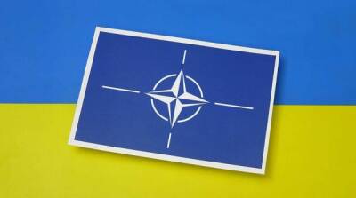 Украина может снова переписать Конституцию и отказаться от вступления в НАТО – посол