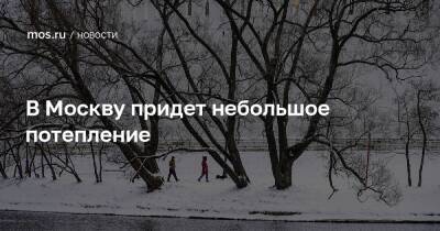 В Москву придет небольшое потепление - mos.ru - Москва