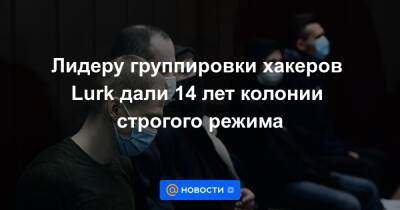 Лидеру группировки хакеров Lurk дали 14 лет колонии строгого режима