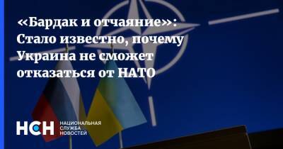 «Бардак и отчаяние»: Стало известно, почему Украина не сможет отказаться от НАТО