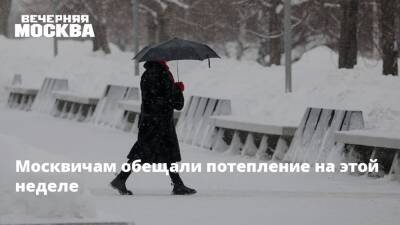 Москвичам обещали потепление на этой неделе