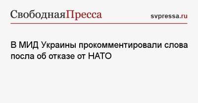В МИД Украины прокомментировали слова посла об отказе от НАТО