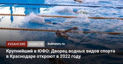 Крупнейший в ЮФО: Дворец водных видов спорта в Краснодаре откроют в 2022 году