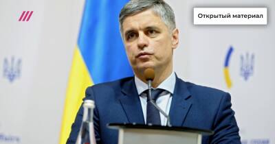 «Это может ему стоить поста»: украинский политолог рассказал, что ждет посла Украины, заявившего о возможном отказе страны от членства в НАТО
