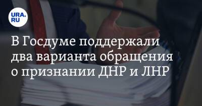 В Госдуме поддержали два варианта обращения о признании ДНР и ЛНР