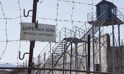 СКР после голодовки заключенных возбудил дело по факту пыток в ульяновской ИК-10