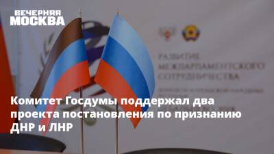 Комитет Госдумы поддержал два проекта постановления по признанию ДНР и ЛНР